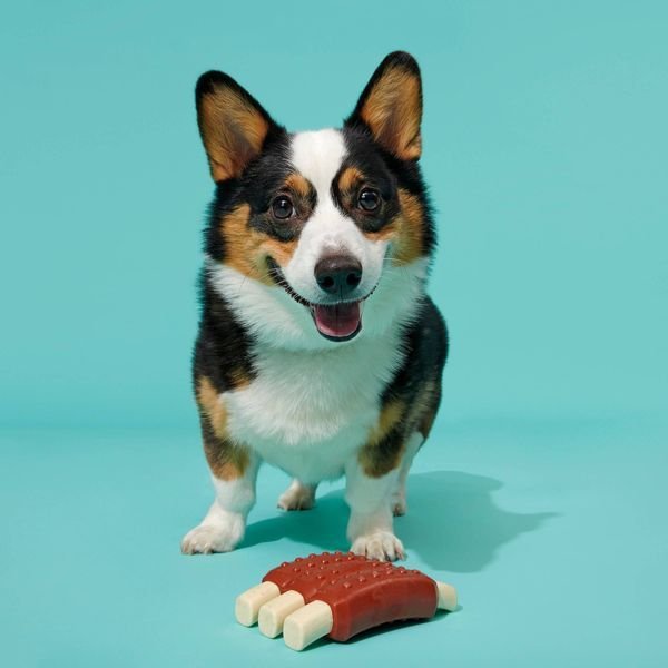 Super Chewer Wreck of Ribs Dog Toy - Dog Time Outlet
