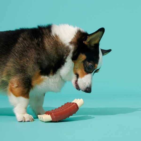 Super Chewer Wreck of Ribs Dog Toy - Dog Time Outlet