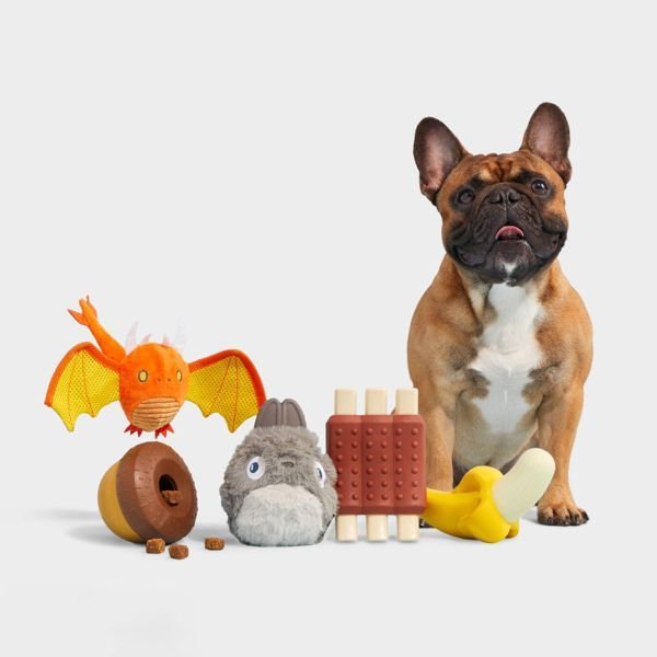 Super Chewer Wreck of Ribs Dog Toy - Dog Time Outlet