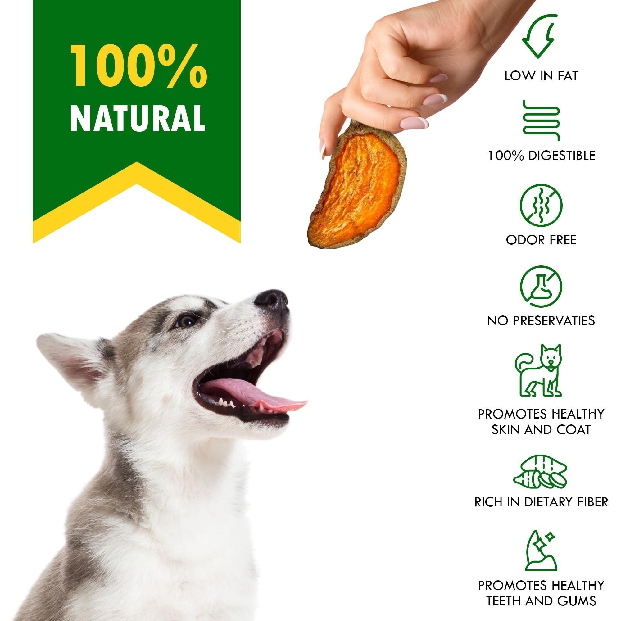 Sweet Potato Chips Treats for Dogs 10.6 oz 300 g - Dog Time Outlet