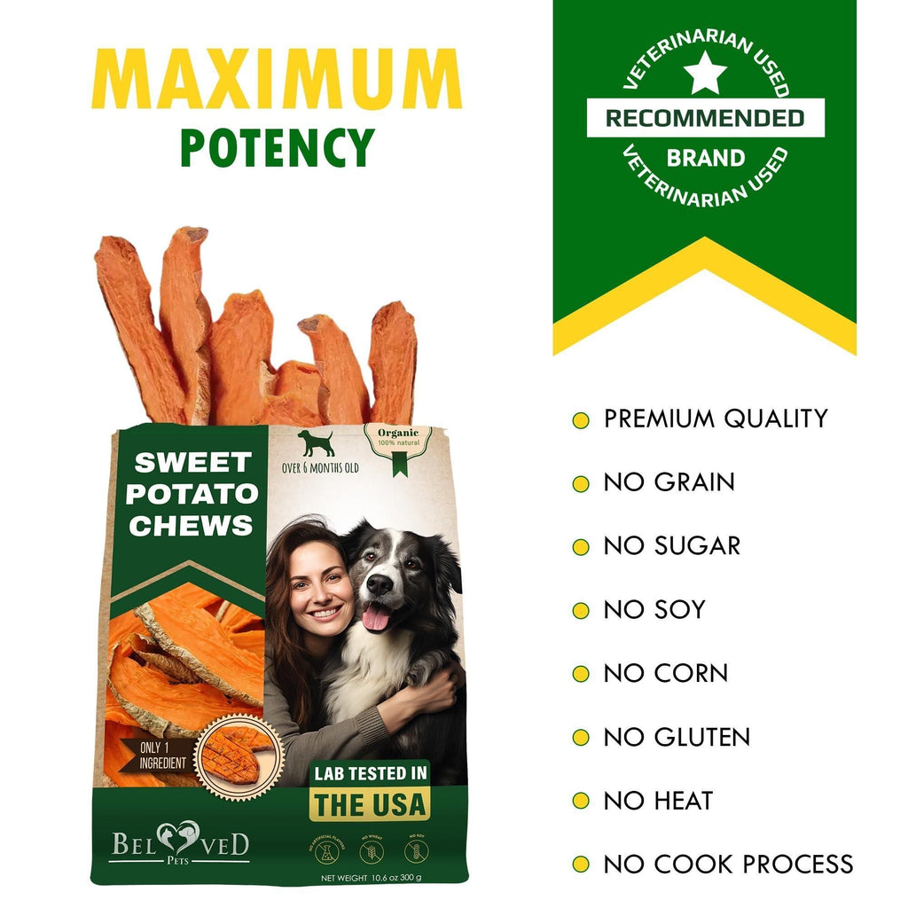 Sweet Potato Chips Treats for Dogs 10.6 oz 300 g - Dog Time Outlet