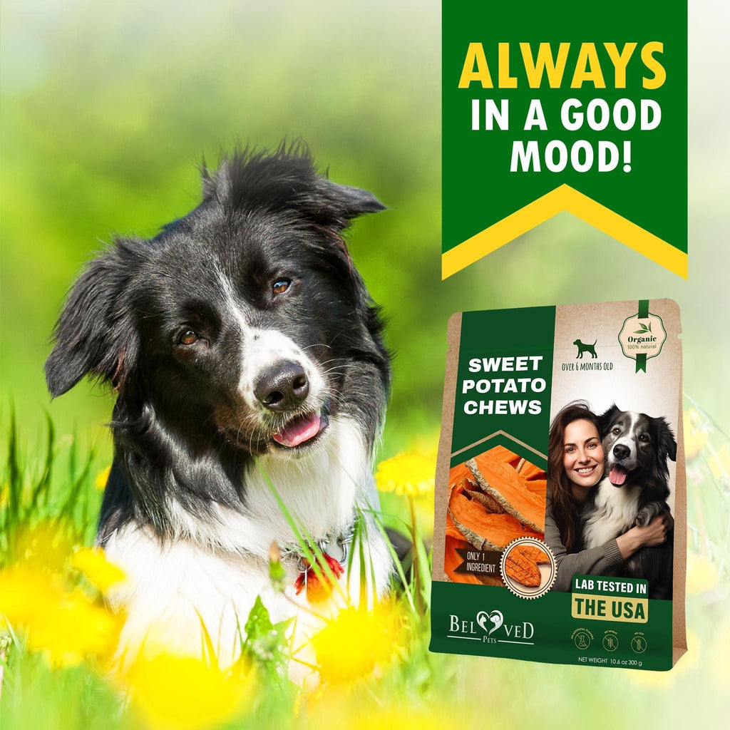 Sweet Potato Chips Treats for Dogs 10.6 oz 300 g - Dog Time Outlet