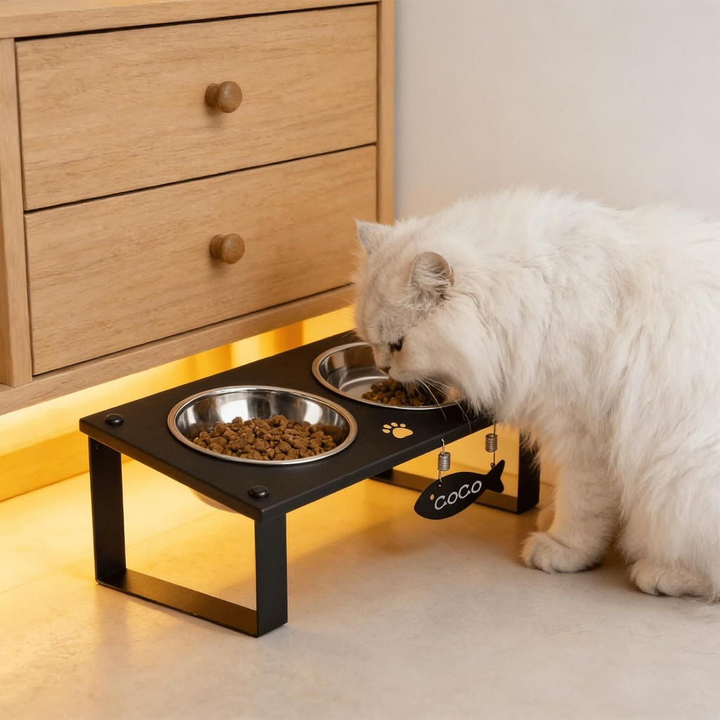 Tilted Elevated Cat Feeding Station with Splash Mat – Anti - Vomiting Bowls & Whisker Friendly Design for Kittens and Puppies - Dog Time Outlet