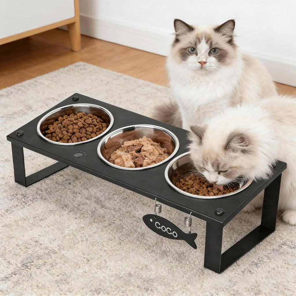 Tilted Elevated Cat Feeding Station with Splash Mat – Anti - Vomiting Bowls & Whisker Friendly Design for Kittens and Puppies - Dog Time Outlet