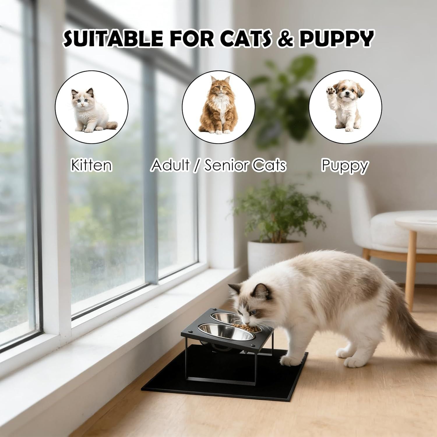 Tilted Elevated Cat Feeding Station with Splash Mat – Anti - Vomiting Bowls & Whisker Friendly Design for Kittens and Puppies - Dog Time Outlet