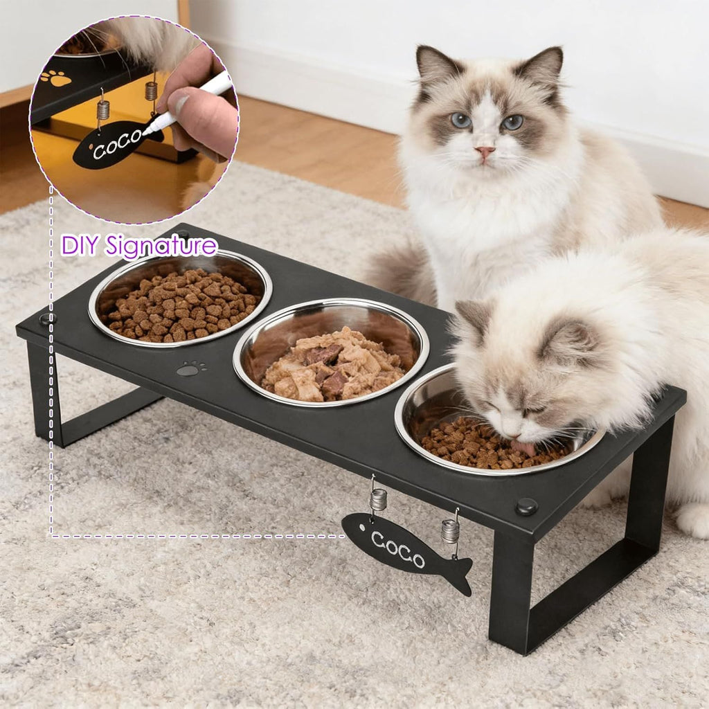 Tilted Elevated Cat Feeding Station with Splash Mat – Anti - Vomiting Bowls & Whisker Friendly Design for Kittens and Puppies - Dog Time Outlet