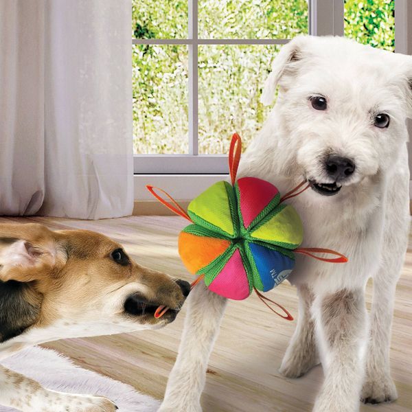 Wedge Ball Dog Toy - Dog Time Outlet