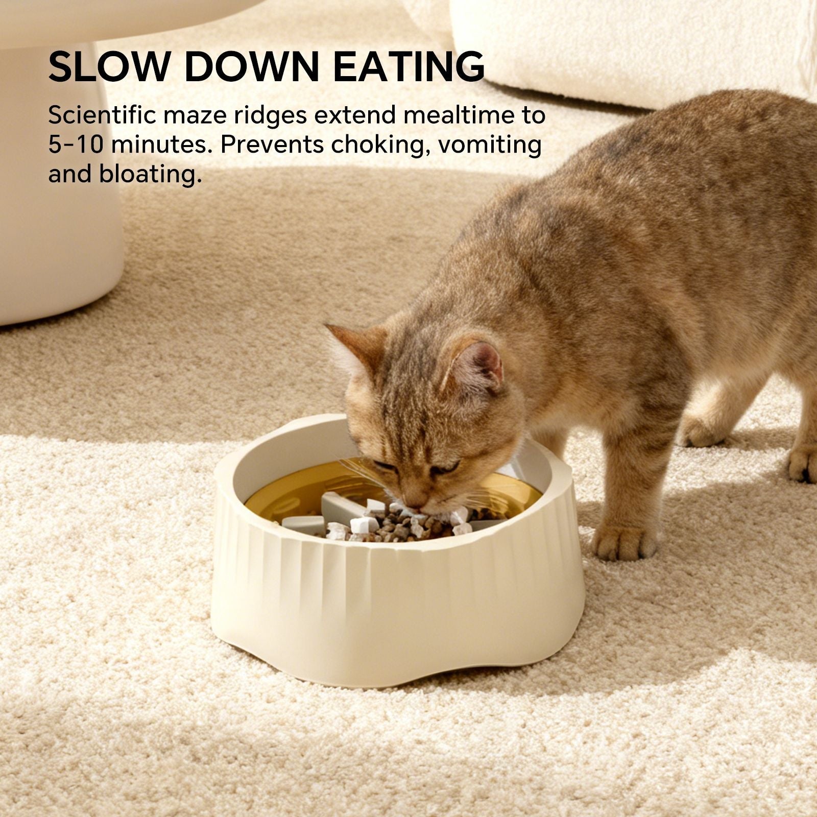 White dual - purpose slow food bowl, fast/slow food can be freely switched to adapt to different pet eating habits, cross - border hot selling pet supplies - Dog Time Outlet