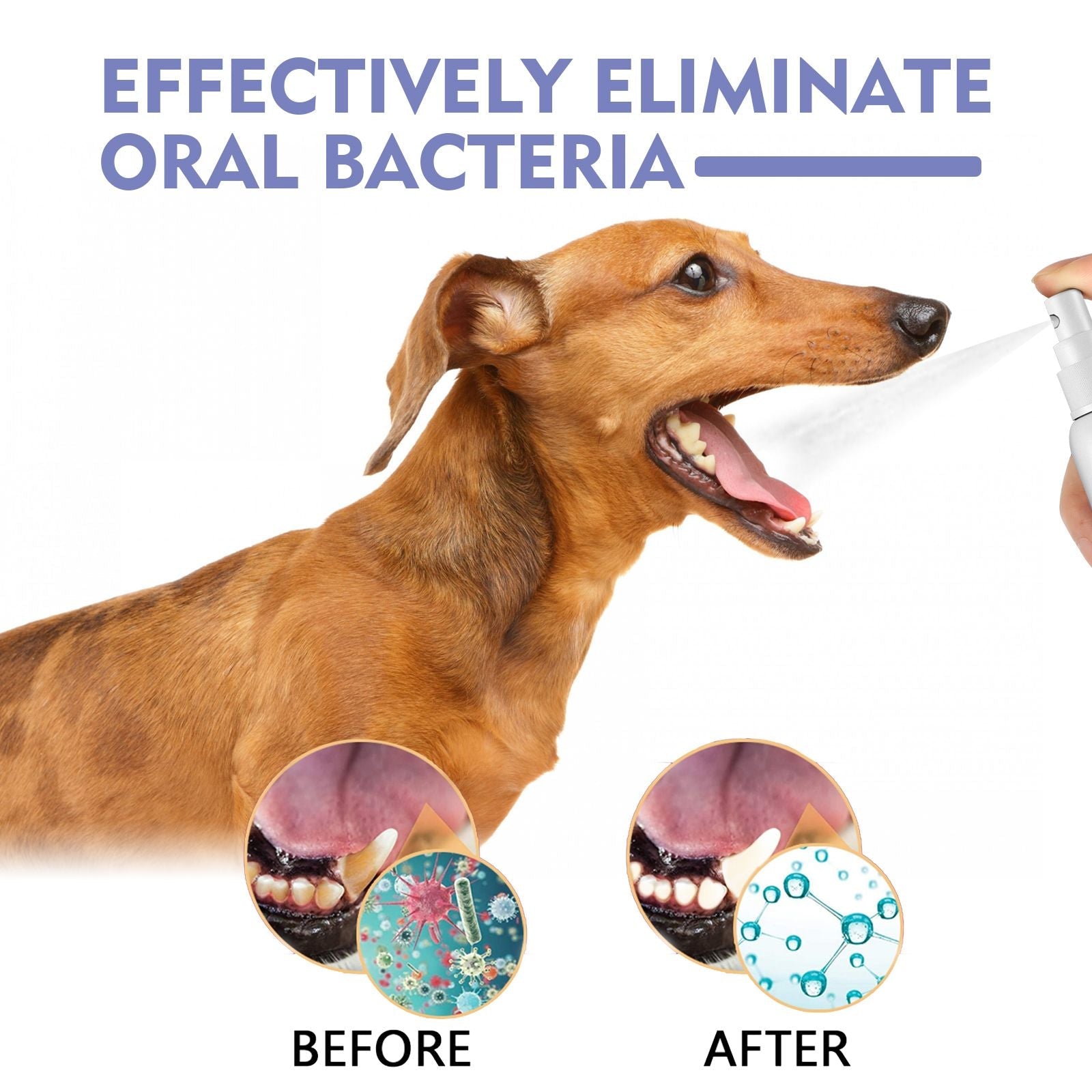 Yegbong Tooth Cleaning Spray For Cats And Dogs, Tooth Stains Fresh Breath Pets Oral Care Spray - Dog Time Outlet